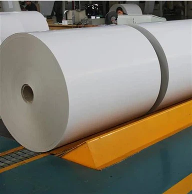 Material 100% biodegradable Paper PLA